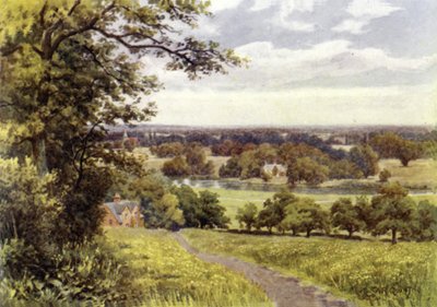 Île de la Magna Charta - Alfred Robert Quinton